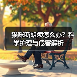 猫咪断胡须怎么办?科学护理与危害解析(图4) 猫咪断胡须怎么办?科学护理与危害解析(图4)