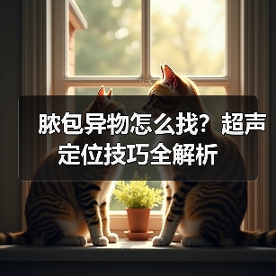脓包异物怎么找?超声定位技巧全解析(图2) 脓包异物怎么找?超声定位技巧全解析(图2)