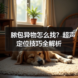 脓包异物怎么找?超声定位技巧全解析(图4) 脓包异物怎么找?超声定位技巧全解析(图4)