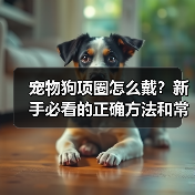 宠物狗项圈怎么戴?新手必看的正确方法和常见误区!(图1) 宠物狗项圈怎么戴?新手必看的正确方法和常见误区!(图1)