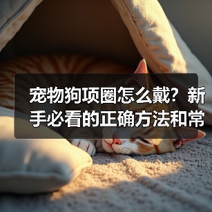 宠物狗项圈怎么戴?新手必看的正确方法和常见误区!(图4) 宠物狗项圈怎么戴?新手必看的正确方法和常见误区!(图4)