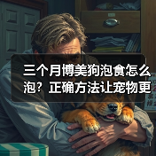 三个月博美狗泡食怎么泡?正确方法让宠物更健康(图1) 三个月博美狗泡食怎么泡?正确方法让宠物更健康(图1)