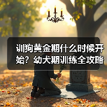 训狗黄金期什么时候开始？幼犬期训练全攻略(图4)