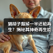 猫胡子剪掉一半还能再生?揭秘其神奇再生能力(图4) 猫胡子剪掉一半还能再生?揭秘其神奇再生能力(图4)