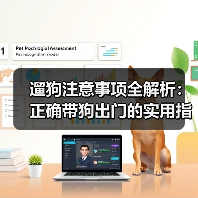 遛狗注意事项全解析:正确带狗出门的实用指南(图4) 遛狗注意事项全解析:正确带狗出门的实用指南(图4)