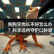 狗狗牙齿长不好怎么办?科学选药守护口腔健康(图3) 狗狗牙齿长不好怎么办?科学选药守护口腔健康(图3)