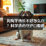 狗狗牙齿长不好怎么办?科学选药守护口腔健康(图4) 狗狗牙齿长不好怎么办?科学选药守护口腔健康(图4)