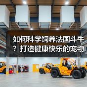 如何科学饲养法国斗牛?打造健康快乐的宠物生活环境(图1) 如何科学饲养法国斗牛?打造健康快乐的宠物生活环境(图1)
