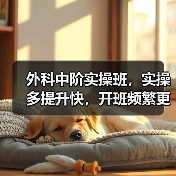 外科中阶实操班,实操多提升快,开班频繁更高效(图1) 外科中阶实操班,实操多提升快,开班频繁更高效(图1)