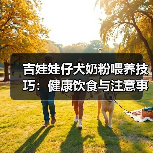 吉娃娃仔犬奶粉喂养技巧:健康饮食与注意事项(图4) 吉娃娃仔犬奶粉喂养技巧:健康饮食与注意事项(图4)