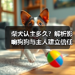 柴犬认主多久?解析影响狗狗与主人建立信任的关键因素(图1) 柴犬认主多久?解析影响狗狗与主人建立信任的关键因素(图1)
