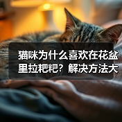 猫咪为什么喜欢在花盆里拉粑粑？解决方法大