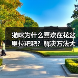 猫咪为什么喜欢在花盆里拉粑粑？解决方法大揭秘(图2)