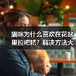 猫咪为什么喜欢在花盆里拉粑粑？解决方法大揭秘(图4)
