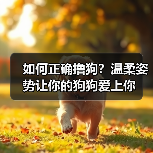 如何正确撸狗?温柔姿势让你的狗狗爱上你(图2) 如何正确撸狗?温柔姿势让你的狗狗爱上你(图2)