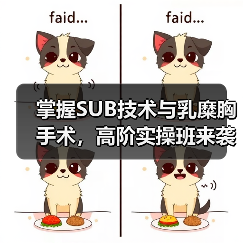 掌握SUB技术与乳糜胸手术,高阶实操班来袭!(图2) 掌握SUB技术与乳糜胸手术,高阶实操班来袭!(图2)