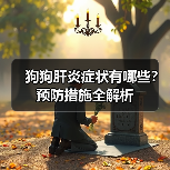 狗狗肝炎症状有哪些?预防措施全解析(图4) 狗狗肝炎症状有哪些?预防措施全解析(图4)