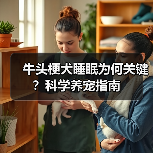 牛头梗犬睡眠为何关键？科学养宠指南(图4)