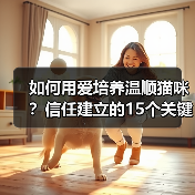 如何用爱培养温顺猫咪？信任建立的15个关