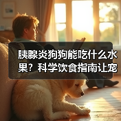 胰腺炎狗狗能吃什么水果？科学饮食指南让宠
