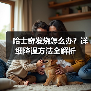 哈士奇发烧怎么办?详细降温方法全解析(图4) 哈士奇发烧怎么办?详细降温方法全解析(图4)