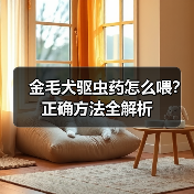 金毛犬驱虫药怎么喂?正确方法全解析(图4) 金毛犬驱虫药怎么喂?正确方法全解析(图4)