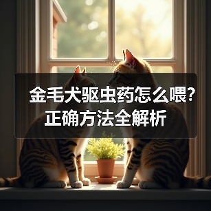 金毛犬驱虫药怎么喂?正确方法全解析(图3) 金毛犬驱虫药怎么喂?正确方法全解析(图3)