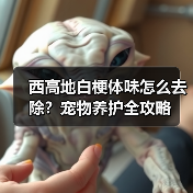 西高地白梗体味怎么去除?宠物养护全攻略(图4) 西高地白梗体味怎么去除?宠物养护全攻略(图4)