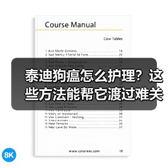泰迪狗瘟怎么护理？这些方法能帮它渡过难关