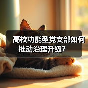 高校功能型党支部如何推动治理升级？