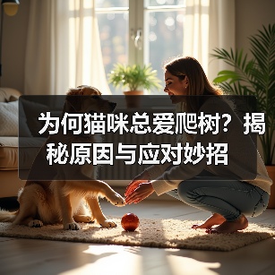 为何猫咪总爱爬树？揭秘原因与应对妙招(图2)