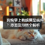 狗狗早上有眼屎是病吗?原因及预防全解析(图4) 狗狗早上有眼屎是病吗?原因及预防全解析(图4)