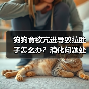狗狗食欲亢进导致拉肚子怎么办?消化问题处理方法全解析(图3) 狗狗食欲亢进导致拉肚子怎么办?消化问题处理方法全解析(图3)