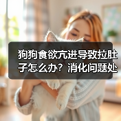 狗狗食欲亢进导致拉肚子怎么办?消化问题处理方法全解析(图4) 狗狗食欲亢进导致拉肚子怎么办?消化问题处理方法全解析(图4)