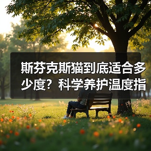 斯芬克斯猫到底适合多少度？科学养护温度指南(图4)
