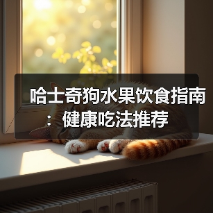 哈士奇狗水果饮食指南:健康吃法推荐(图3) 哈士奇狗水果饮食指南:健康吃法推荐(图3)