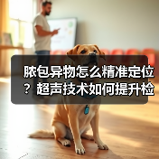 脓包异物怎么精准定位?超声技术如何提升检出率(图3) 脓包异物怎么精准定位?超声技术如何提升检出率(图3)