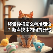 脓包异物怎么精准定位?超声技术如何提升检出率(图4) 脓包异物怎么精准定位?超声技术如何提升检出率(图4)