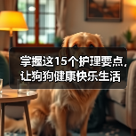 掌握这15个护理要点,让狗狗健康快乐生活(图1) 掌握这15个护理要点,让狗狗健康快乐生活(图1)