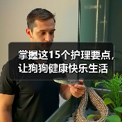 掌握这15个护理要点,让狗狗健康快乐生活(图4) 掌握这15个护理要点,让狗狗健康快乐生活(图4)
