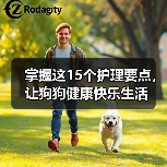 掌握这15个护理要点,让狗狗健康快乐生活(图3) 掌握这15个护理要点,让狗狗健康快乐生活(图3)