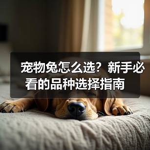 宠物兔怎么选?新手必看的品种选择指南(图1) 宠物兔怎么选?新手必看的品种选择指南(图1)