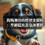 狗狗淋巴癌症状全解析：早期征兆及临床表现