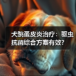 犬跳蚤皮炎治疗:驱虫抗菌综合方案有效?(图4) 犬跳蚤皮炎治疗:驱虫抗菌综合方案有效?(图4)