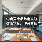 约克夏犬喂养全攻略:健康饮食、注意事项与常见问题解答(图1) 约克夏犬喂养全攻略:健康饮食、注意事项与常见问题解答(图1)