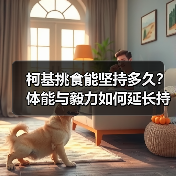柯基挑食能坚持多久?体能与毅力如何延长持久力?(图3) 柯基挑食能坚持多久?体能与毅力如何延长持久力?(图3)