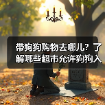 带狗狗购物去哪儿？了解哪些超市允许狗狗入