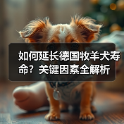 如何延长德国牧羊犬寿命?关键因素全解析(图4) 如何延长德国牧羊犬寿命?关键因素全解析(图4)