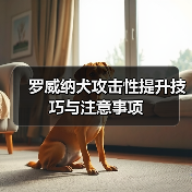 罗威纳犬攻击性提升技巧与注意事项(图1)