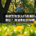 底栖生物怎么打造清新鱼缸?清洁鱼缸的神奇帮手(图4) 底栖生物怎么打造清新鱼缸?清洁鱼缸的神奇帮手(图4)
